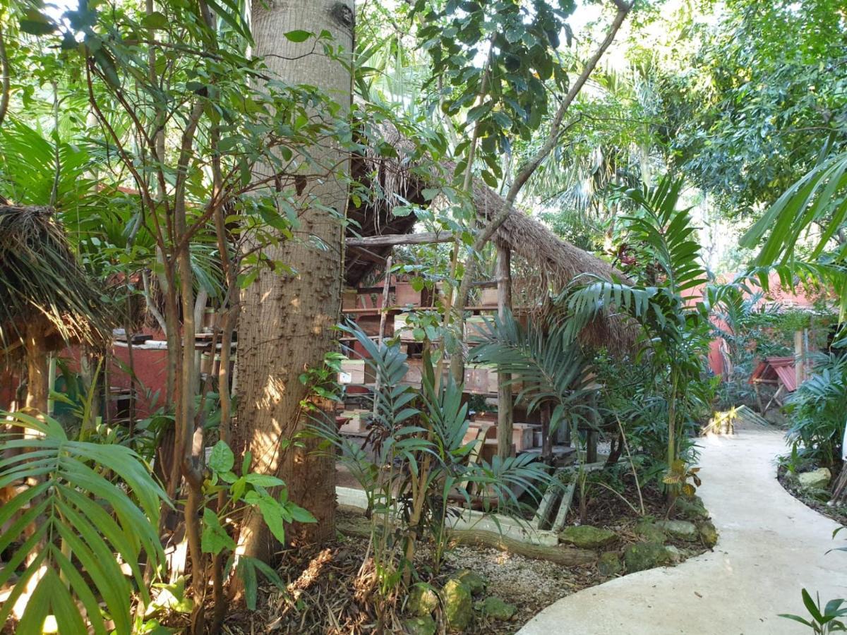 Casa Don Diego Тулум Екстер'єр фото